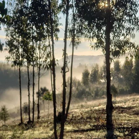 Casa Hortensia شقة