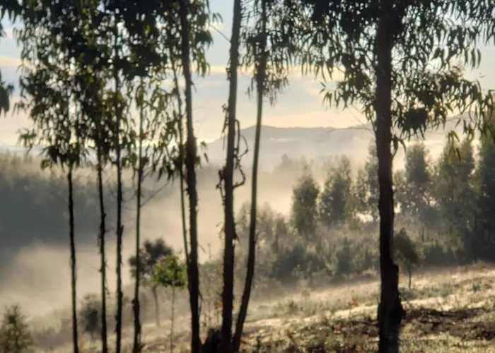 Casa Hortensia Appartement
